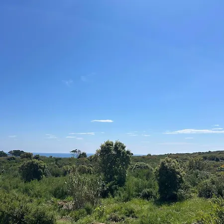 T3 Calme A 300m Vue Maquis Apartment